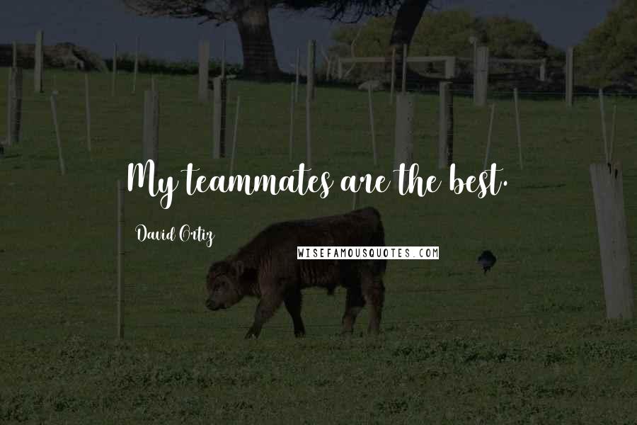 David Ortiz Quotes: My teammates are the best.