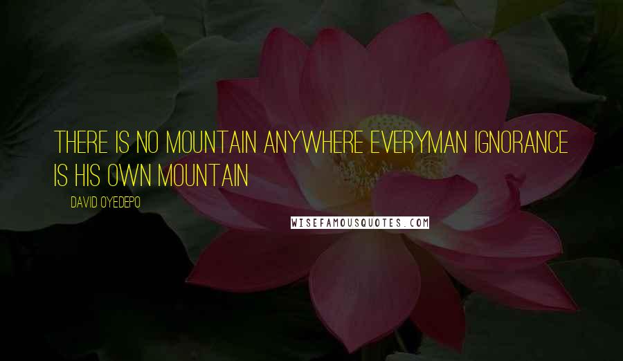 David Oyedepo Quotes: There is no mountain anywhere everyman ignorance is his own mountain