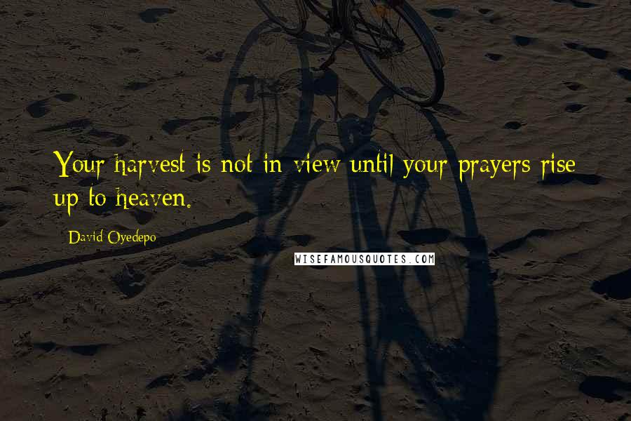 David Oyedepo Quotes: Your harvest is not in view until your prayers rise up to heaven.