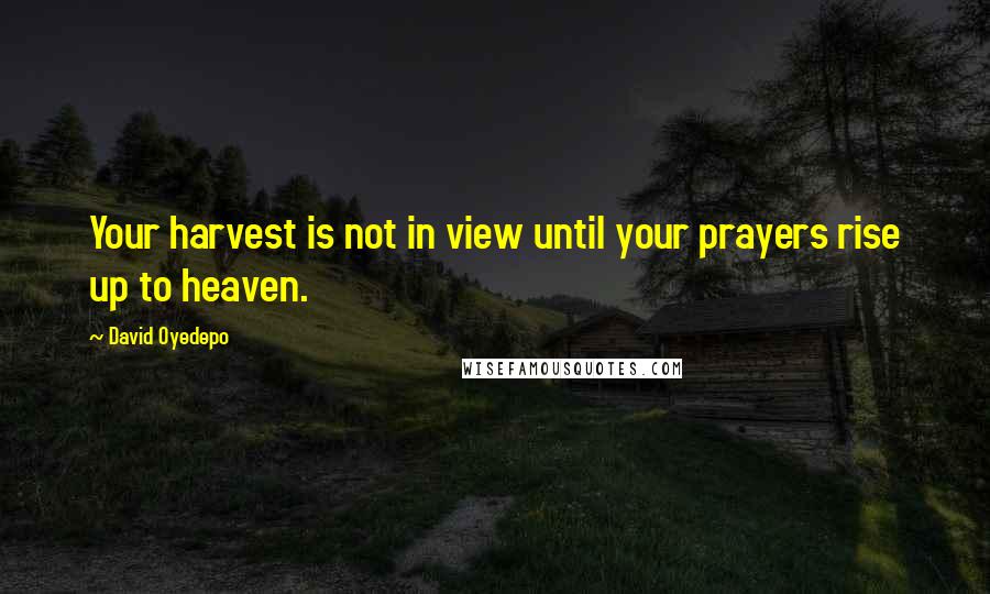 David Oyedepo Quotes: Your harvest is not in view until your prayers rise up to heaven.