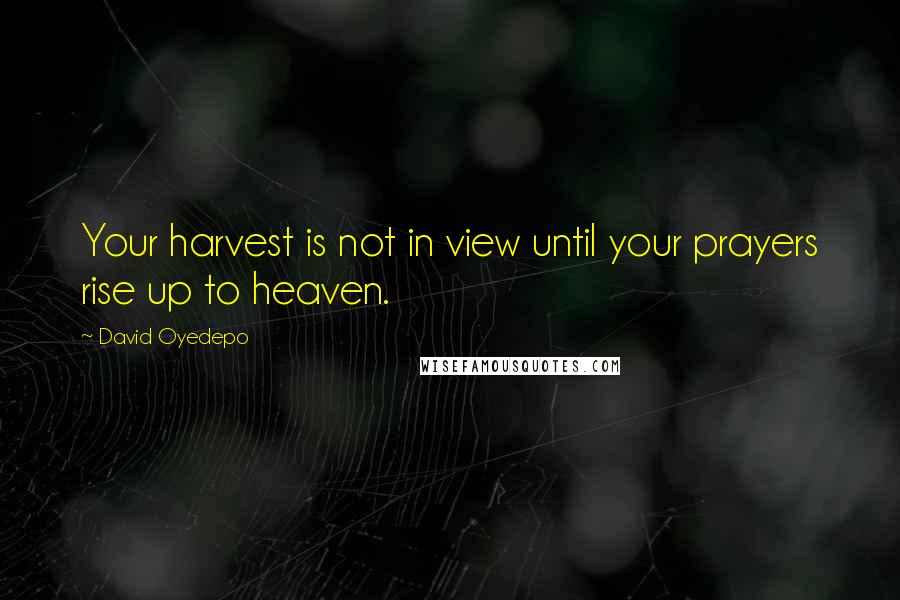 David Oyedepo Quotes: Your harvest is not in view until your prayers rise up to heaven.