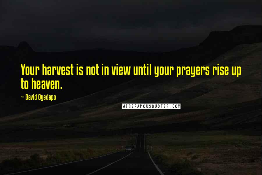 David Oyedepo Quotes: Your harvest is not in view until your prayers rise up to heaven.