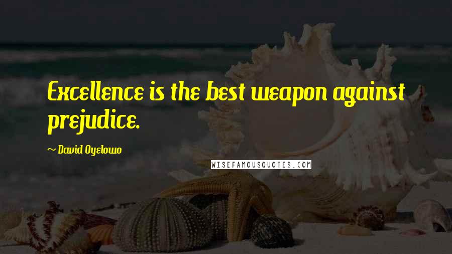 David Oyelowo Quotes: Excellence is the best weapon against prejudice.