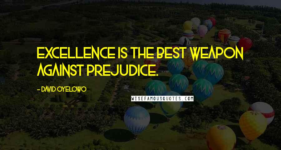 David Oyelowo Quotes: Excellence is the best weapon against prejudice.