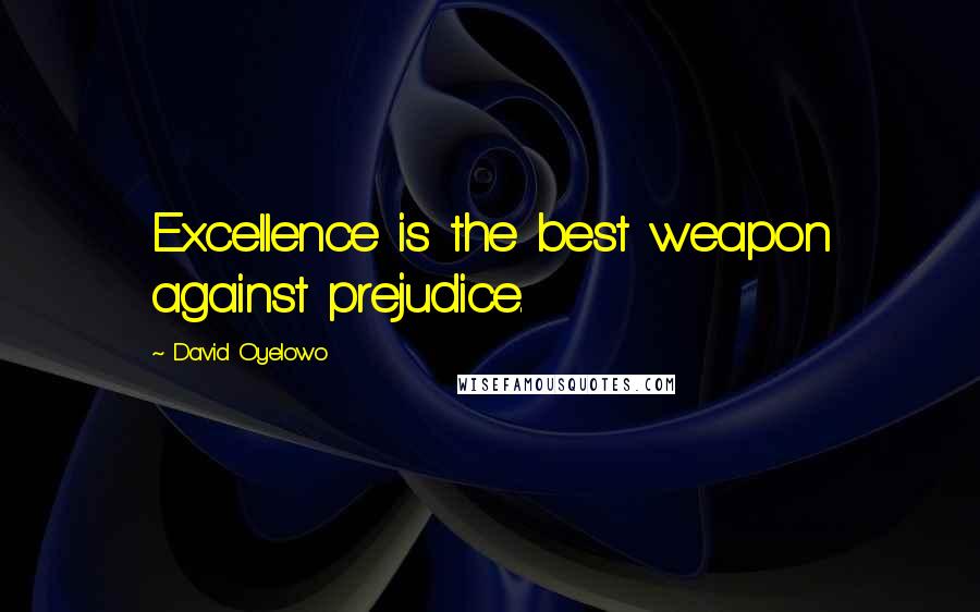 David Oyelowo Quotes: Excellence is the best weapon against prejudice.