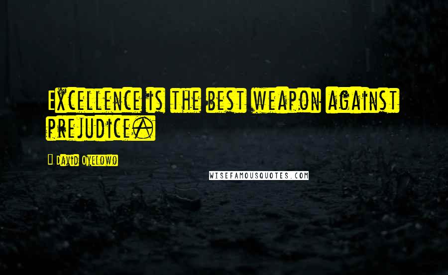 David Oyelowo Quotes: Excellence is the best weapon against prejudice.