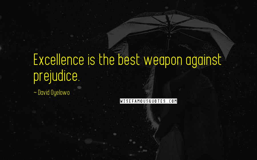 David Oyelowo Quotes: Excellence is the best weapon against prejudice.