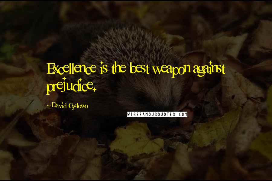 David Oyelowo Quotes: Excellence is the best weapon against prejudice.