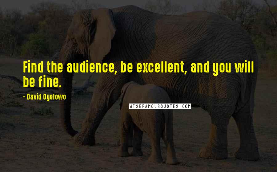 David Oyelowo Quotes: Find the audience, be excellent, and you will be fine.