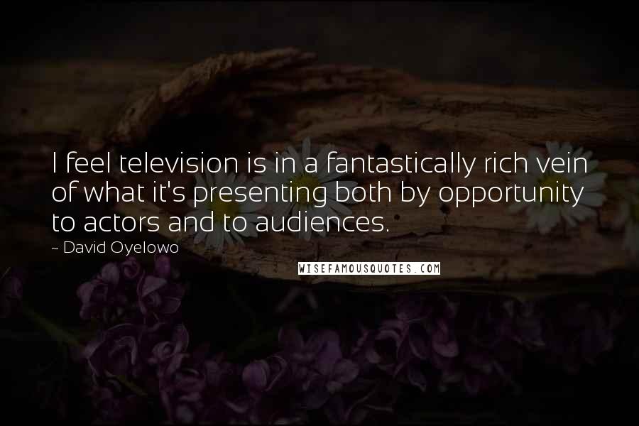 David Oyelowo Quotes: I feel television is in a fantastically rich vein of what it's presenting both by opportunity to actors and to audiences.
