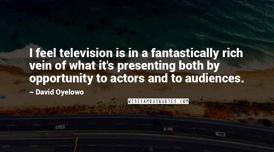 David Oyelowo Quotes: I feel television is in a fantastically rich vein of what it's presenting both by opportunity to actors and to audiences.