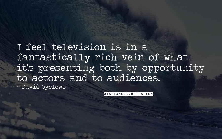 David Oyelowo Quotes: I feel television is in a fantastically rich vein of what it's presenting both by opportunity to actors and to audiences.