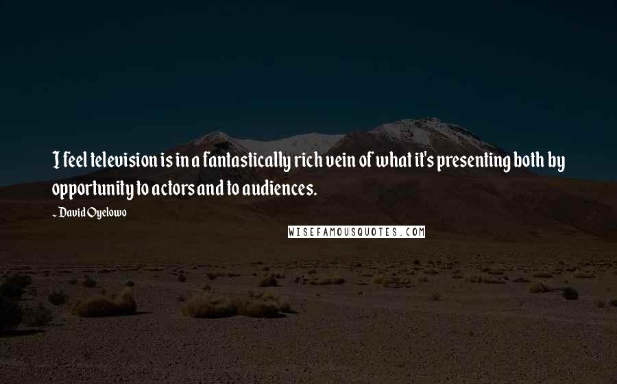 David Oyelowo Quotes: I feel television is in a fantastically rich vein of what it's presenting both by opportunity to actors and to audiences.