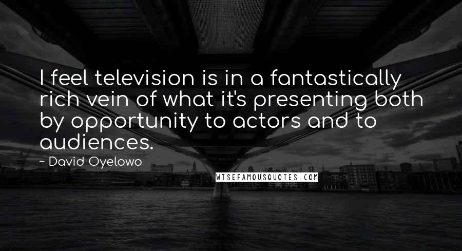 David Oyelowo Quotes: I feel television is in a fantastically rich vein of what it's presenting both by opportunity to actors and to audiences.