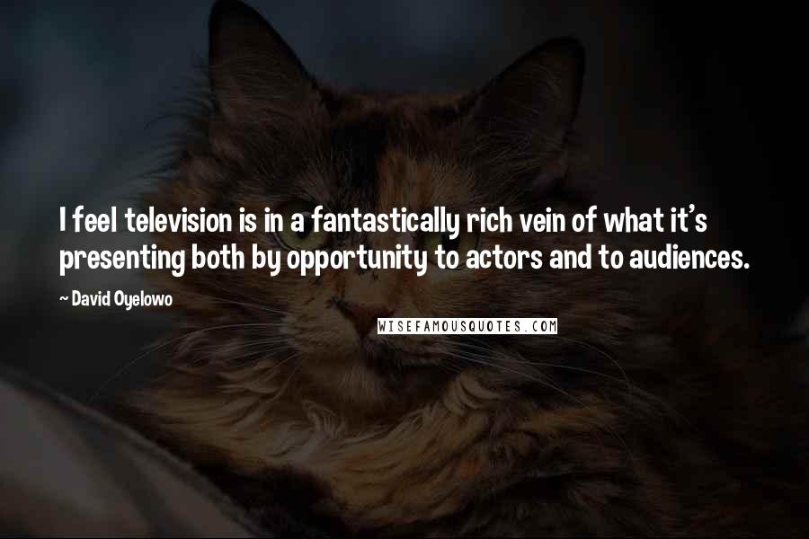 David Oyelowo Quotes: I feel television is in a fantastically rich vein of what it's presenting both by opportunity to actors and to audiences.