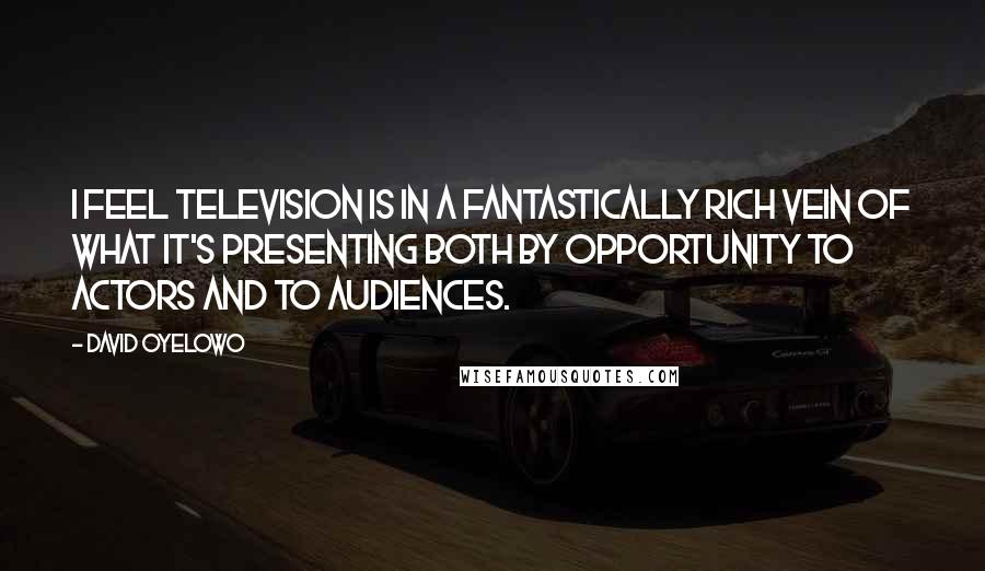 David Oyelowo Quotes: I feel television is in a fantastically rich vein of what it's presenting both by opportunity to actors and to audiences.