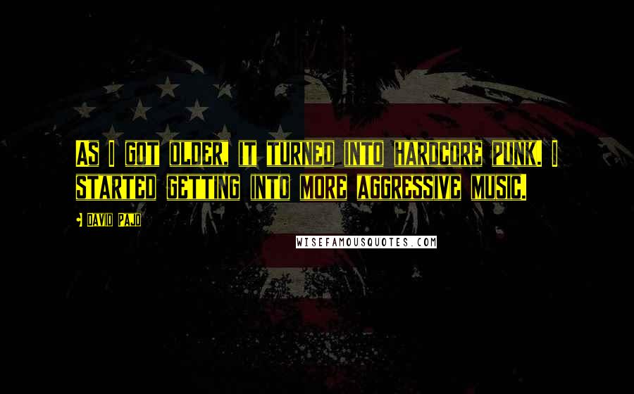 David Pajo Quotes: As I got older, it turned into hardcore punk. I started getting into more aggressive music.