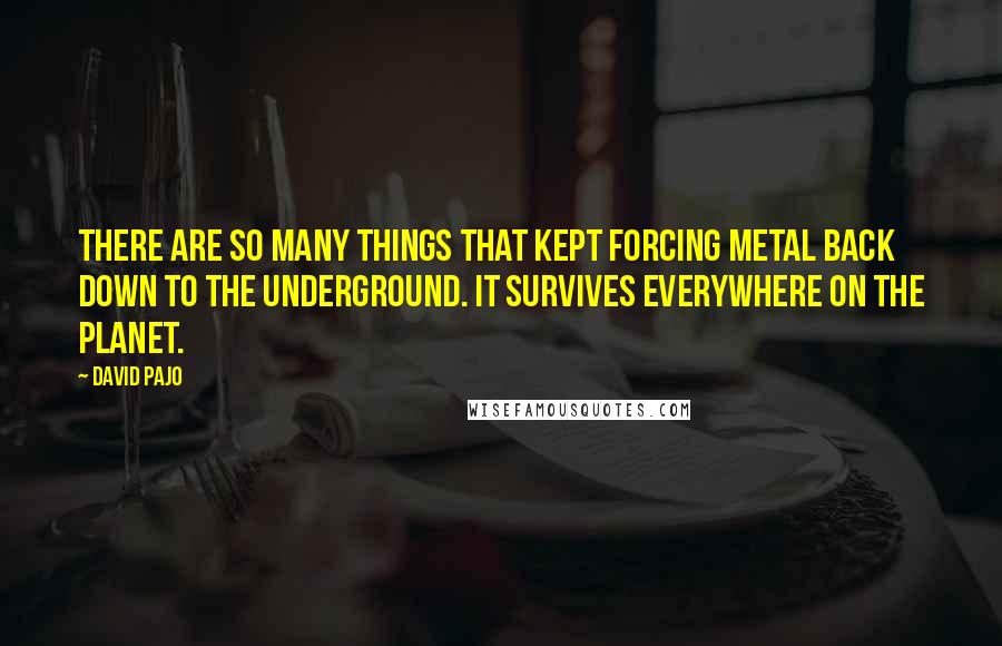 David Pajo Quotes: There are so many things that kept forcing metal back down to the underground. It survives everywhere on the planet.