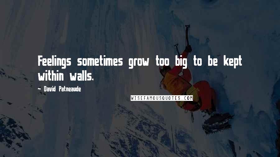 David Patneaude Quotes: Feelings sometimes grow too big to be kept within walls.