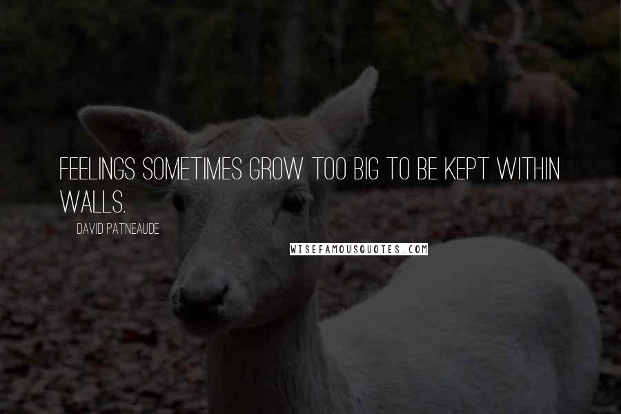 David Patneaude Quotes: Feelings sometimes grow too big to be kept within walls.