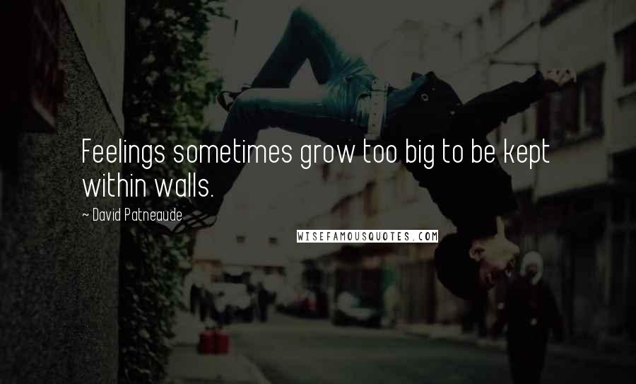 David Patneaude Quotes: Feelings sometimes grow too big to be kept within walls.
