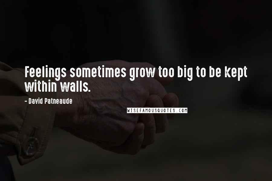 David Patneaude Quotes: Feelings sometimes grow too big to be kept within walls.