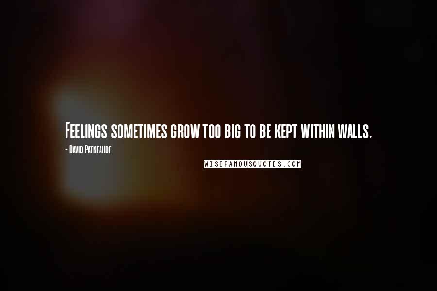 David Patneaude Quotes: Feelings sometimes grow too big to be kept within walls.