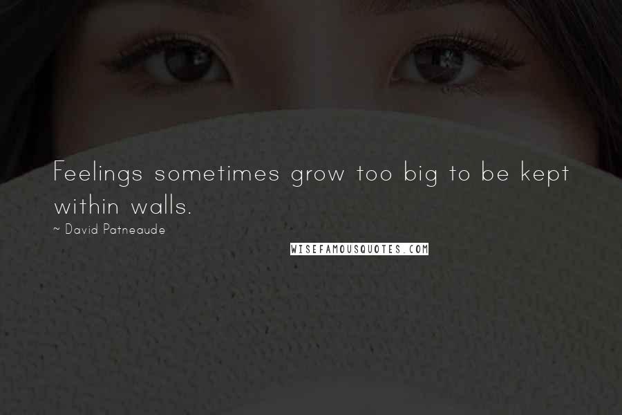 David Patneaude Quotes: Feelings sometimes grow too big to be kept within walls.