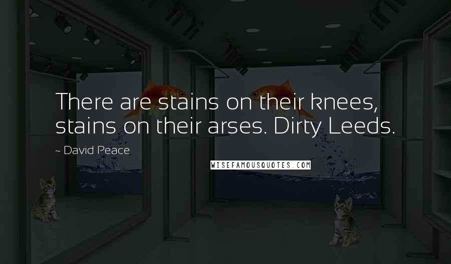 David Peace Quotes: There are stains on their knees, stains on their arses. Dirty Leeds.