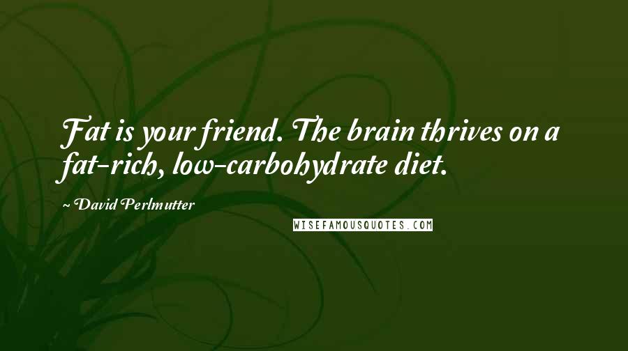 David Perlmutter Quotes: Fat is your friend. The brain thrives on a fat-rich, low-carbohydrate diet.