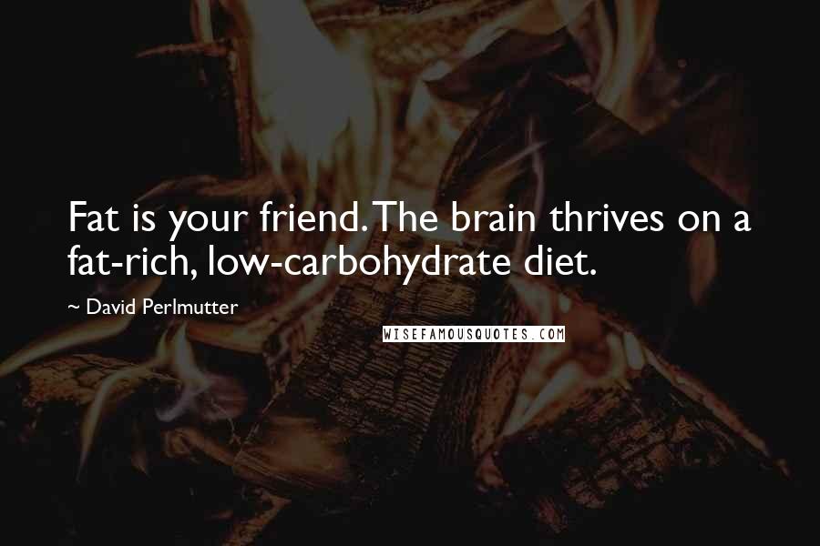 David Perlmutter Quotes: Fat is your friend. The brain thrives on a fat-rich, low-carbohydrate diet.