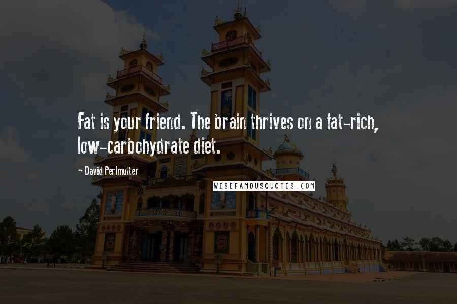 David Perlmutter Quotes: Fat is your friend. The brain thrives on a fat-rich, low-carbohydrate diet.