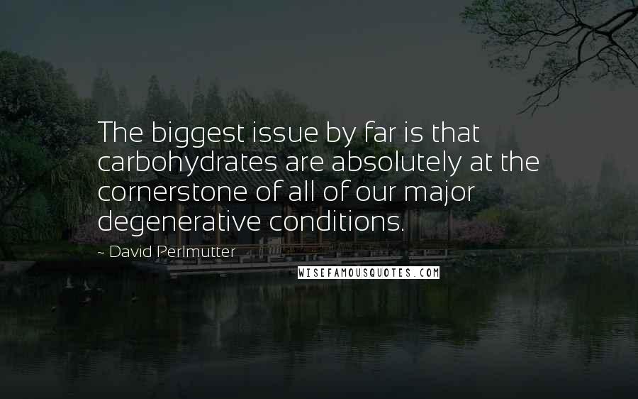 David Perlmutter Quotes: The biggest issue by far is that carbohydrates are absolutely at the cornerstone of all of our major degenerative conditions.