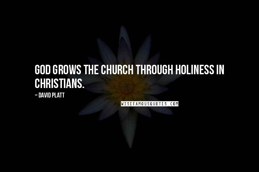 David Platt Quotes: God grows the Church through holiness in Christians.