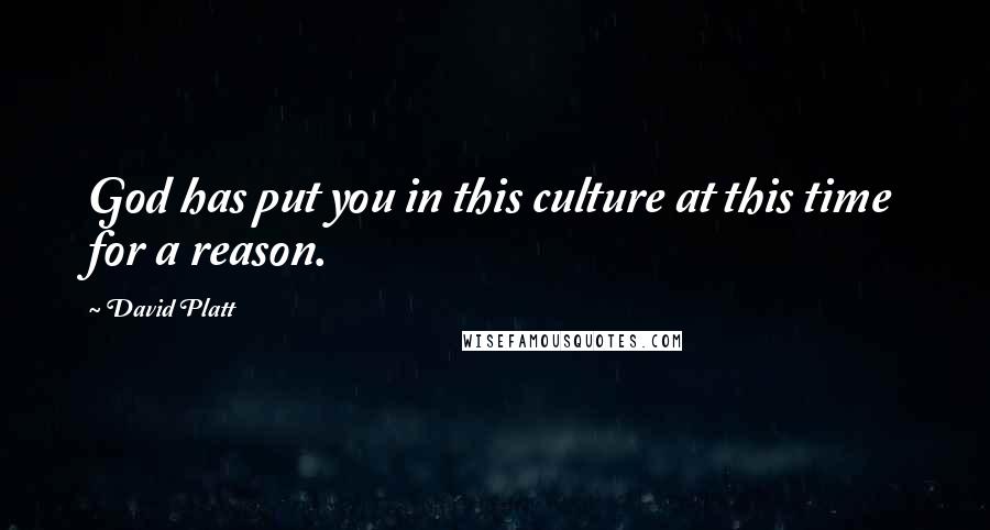 David Platt Quotes: God has put you in this culture at this time for a reason.