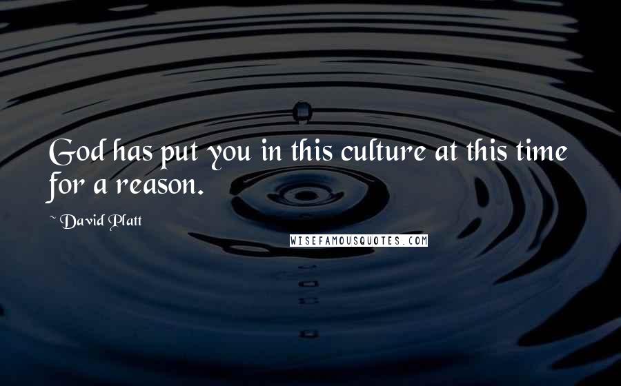 David Platt Quotes: God has put you in this culture at this time for a reason.