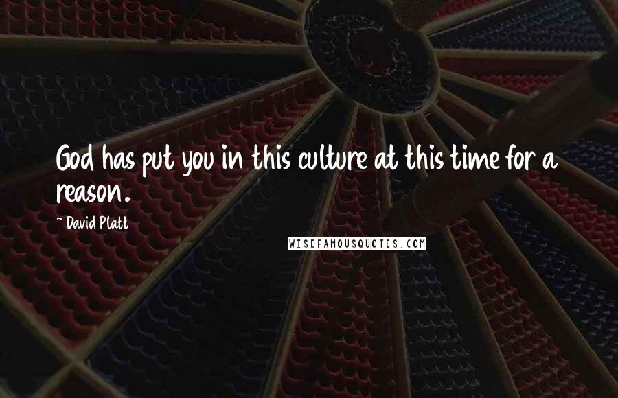 David Platt Quotes: God has put you in this culture at this time for a reason.