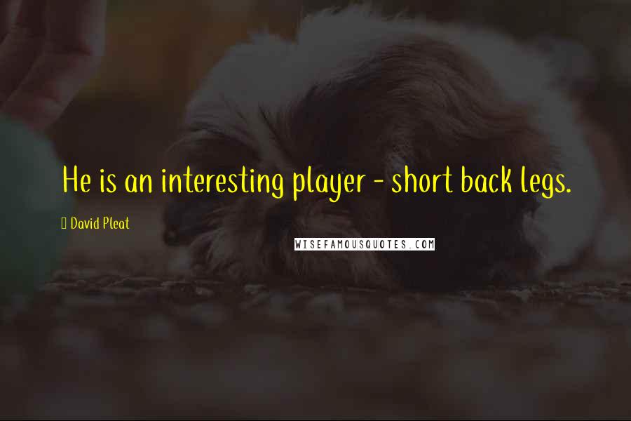 David Pleat Quotes: He is an interesting player - short back legs.