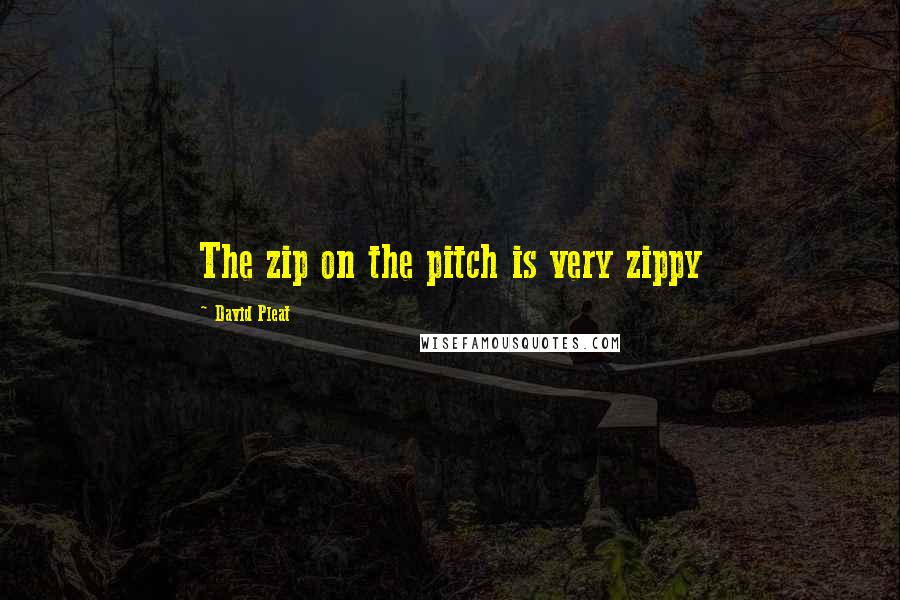 David Pleat Quotes: The zip on the pitch is very zippy