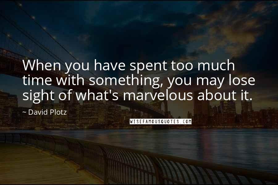 David Plotz Quotes: When you have spent too much time with something, you may lose sight of what's marvelous about it.