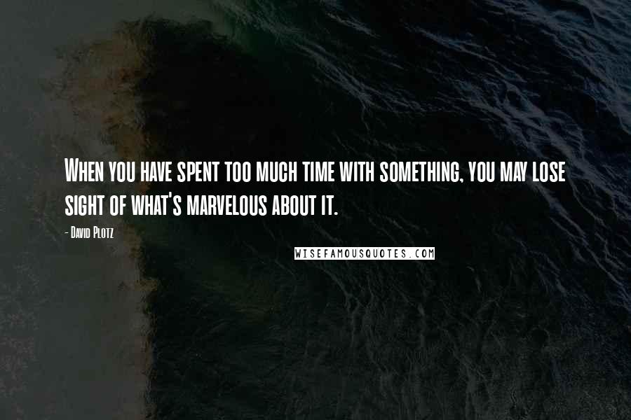 David Plotz Quotes: When you have spent too much time with something, you may lose sight of what's marvelous about it.