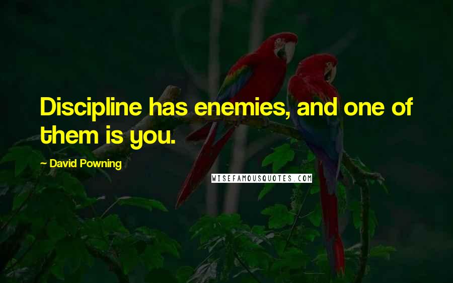 David Powning Quotes: Discipline has enemies, and one of them is you.