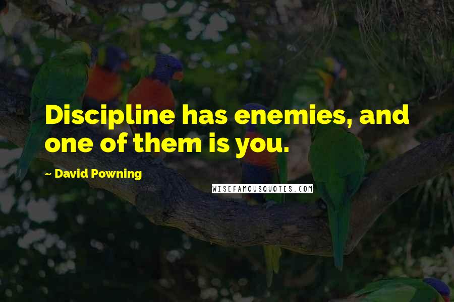 David Powning Quotes: Discipline has enemies, and one of them is you.