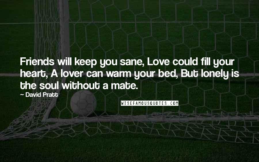 David Pratt Quotes: Friends will keep you sane, Love could fill your heart, A lover can warm your bed, But lonely is the soul without a mate.