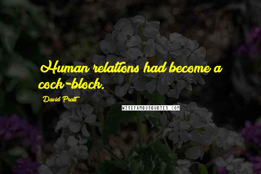 David Pratt Quotes: Human relations had become a cock-block.