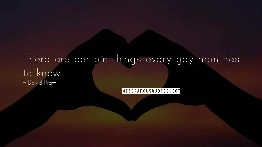 David Pratt Quotes: There are certain things every gay man has to know.