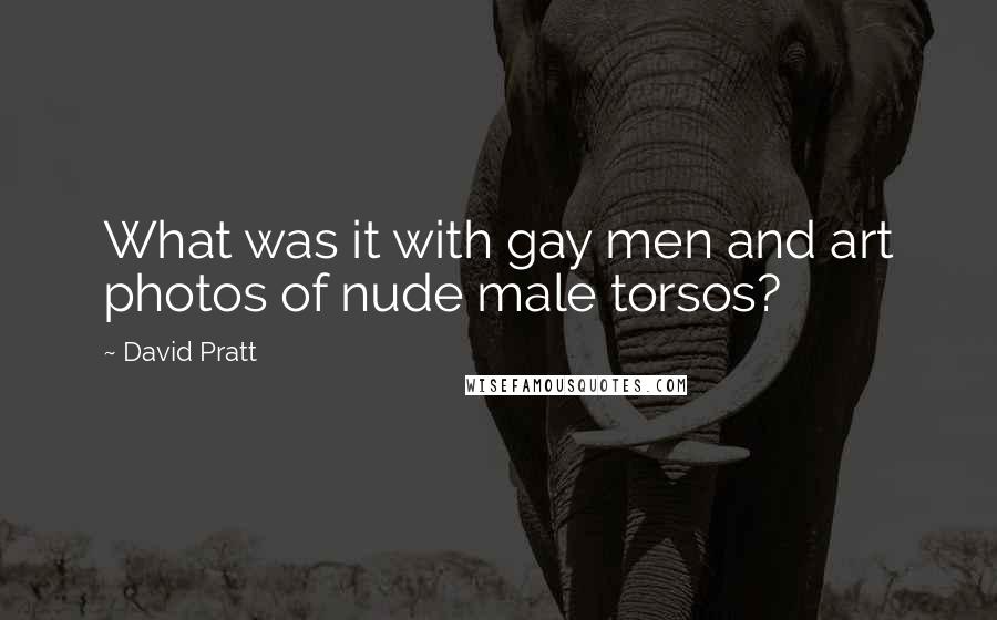 David Pratt Quotes: What was it with gay men and art photos of nude male torsos?