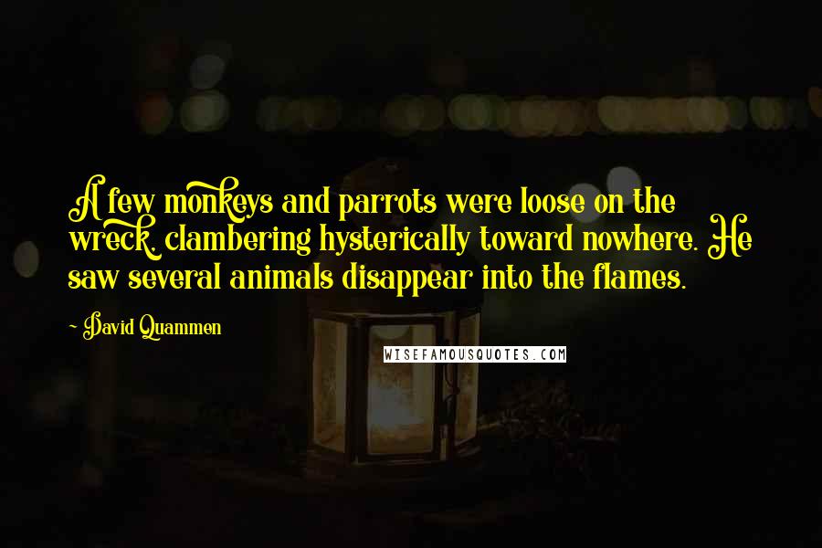 David Quammen Quotes: A few monkeys and parrots were loose on the wreck, clambering hysterically toward nowhere. He saw several animals disappear into the flames.