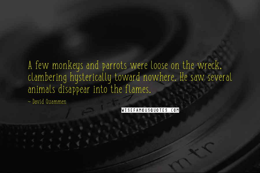 David Quammen Quotes: A few monkeys and parrots were loose on the wreck, clambering hysterically toward nowhere. He saw several animals disappear into the flames.