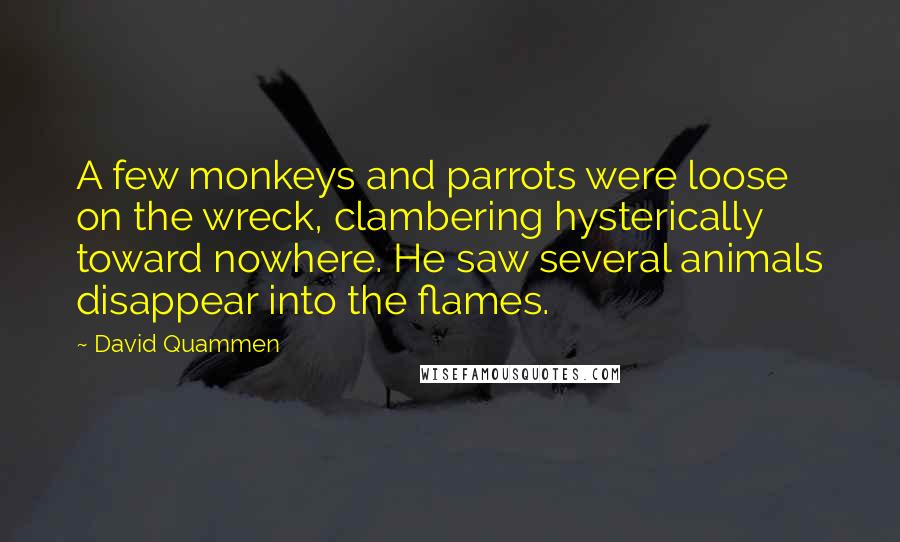 David Quammen Quotes: A few monkeys and parrots were loose on the wreck, clambering hysterically toward nowhere. He saw several animals disappear into the flames.